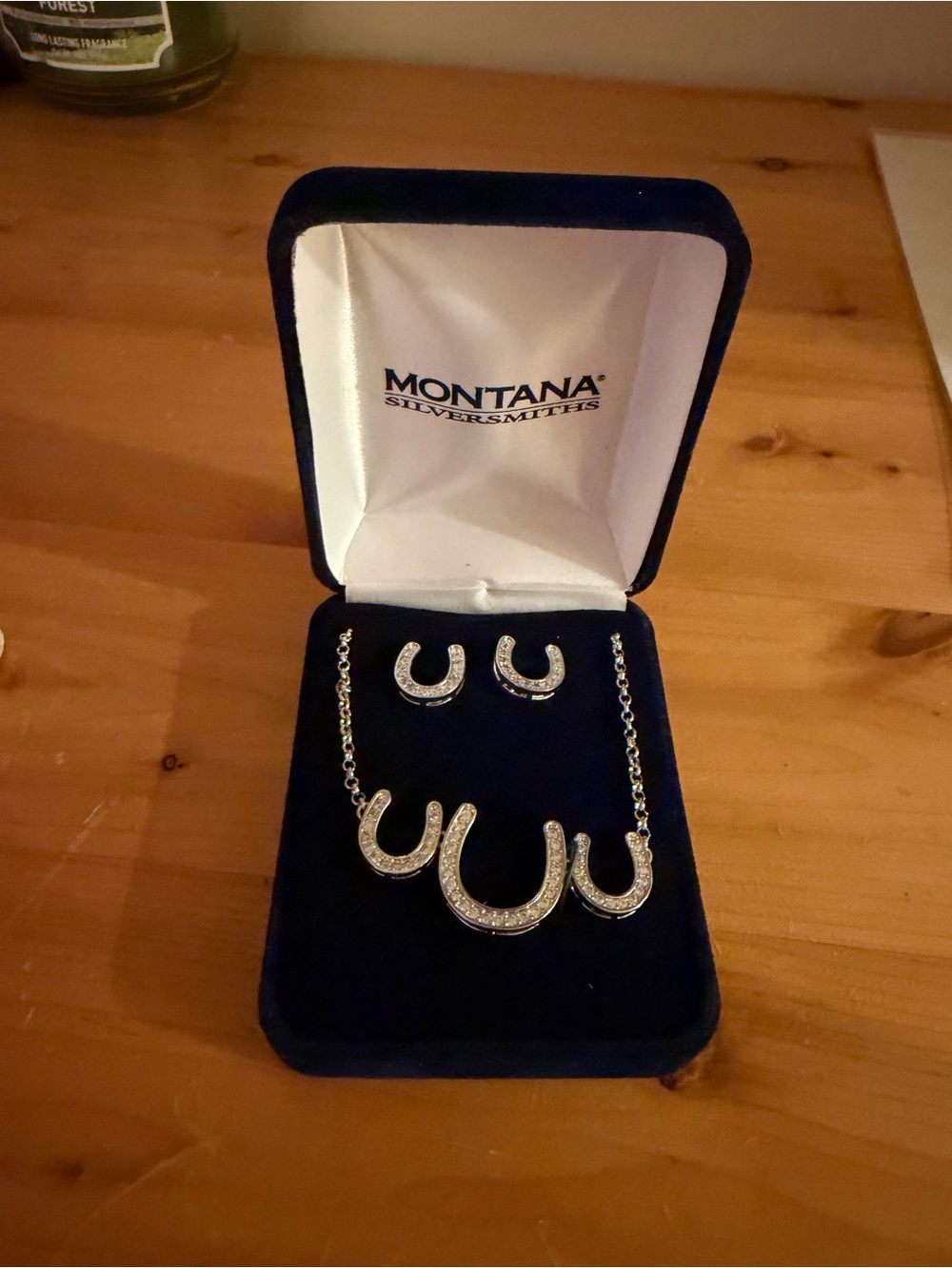Montana Silversmiths Silver Crystal Horseshoe Necklace and Earring Set